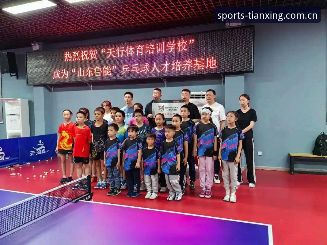 天行体育平台入口 天行体育平台入口深度评测:一个老用户的真实体验与全面分析